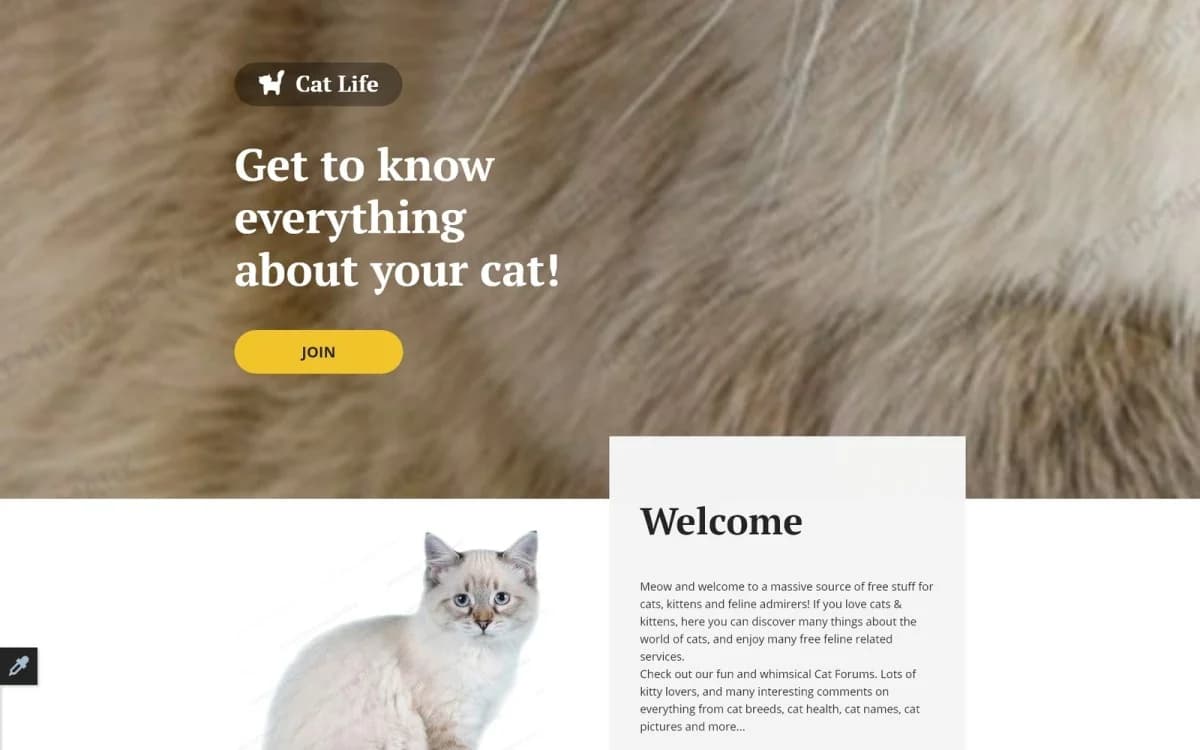 Cat Responsive Landing Page Template