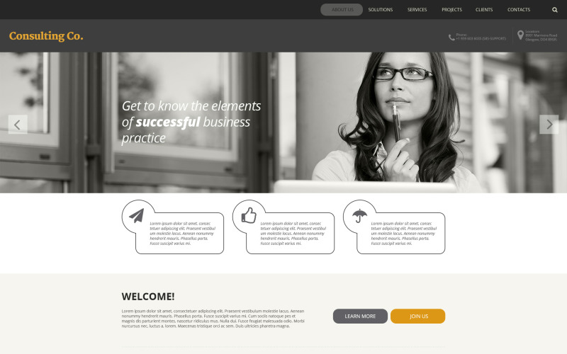 consulting responsive website template 57863 original