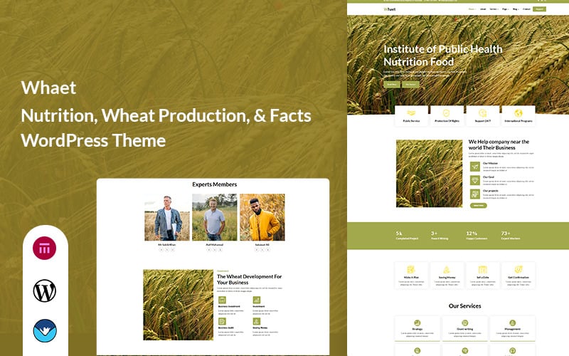 whaet nutrition wheat production amp facts wordpress theme 486077 original 2