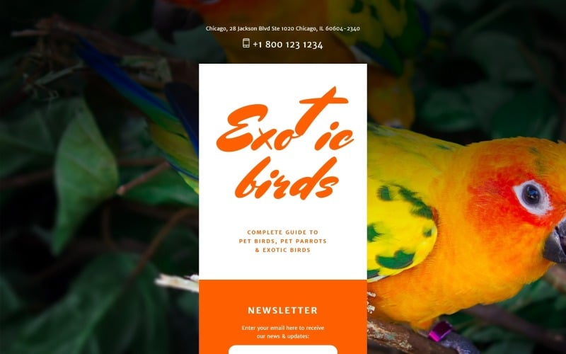 birds responsive landing page template original
