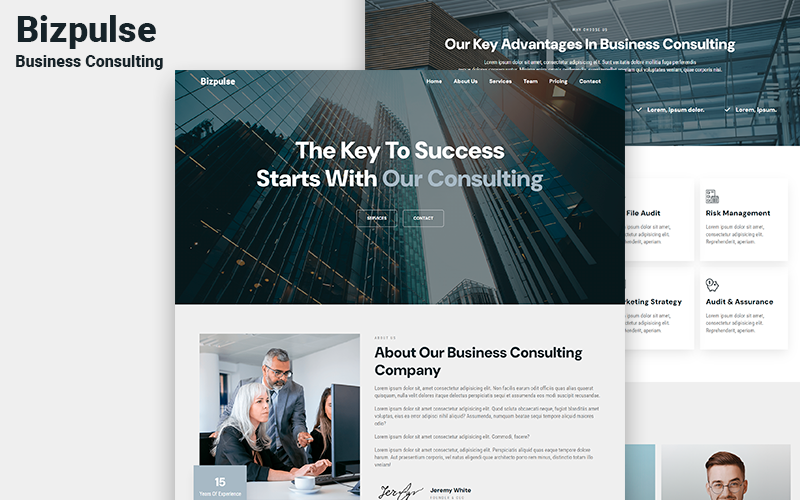 bizpulse business consulting html landing page template original