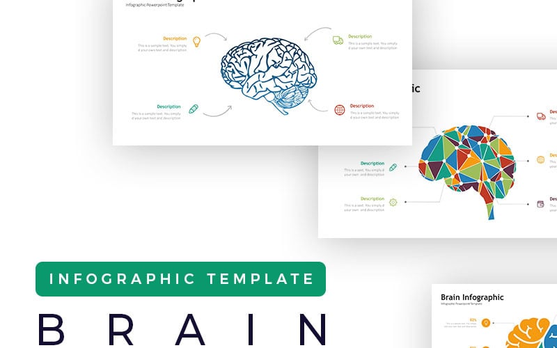 brain presentation infographic powerpoint template original