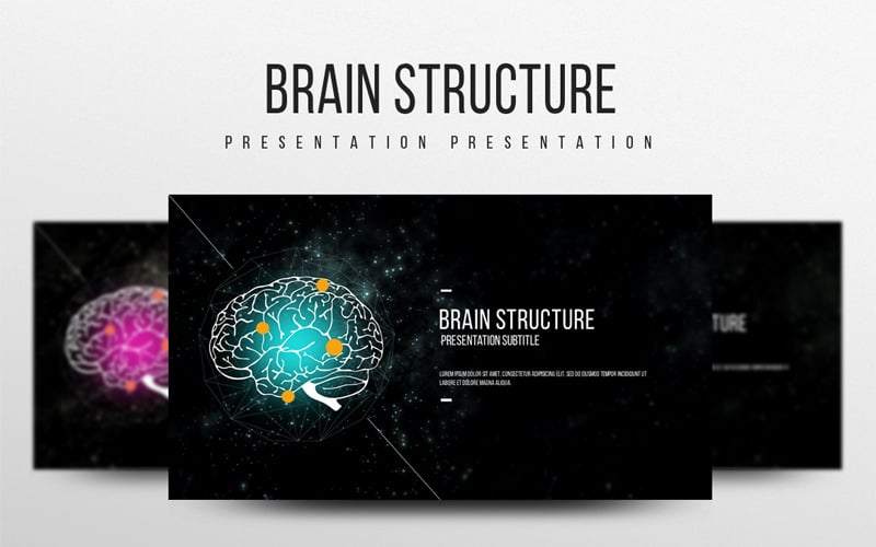 brain structure powerpoint template original
