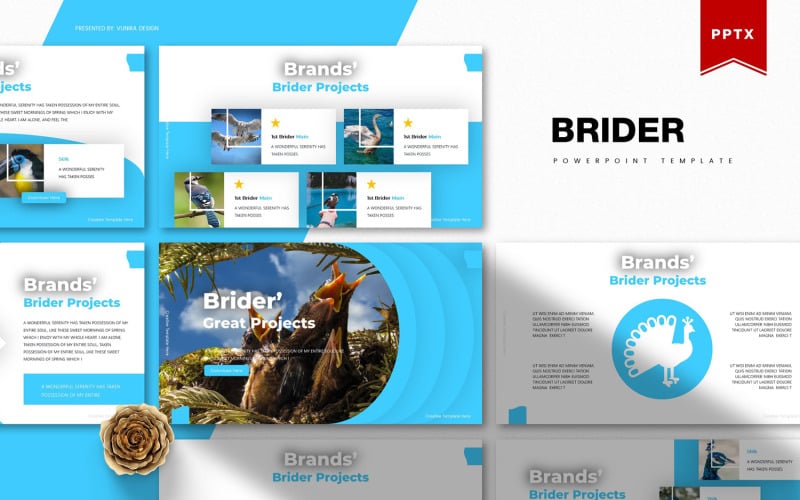 brider powerpoint template original