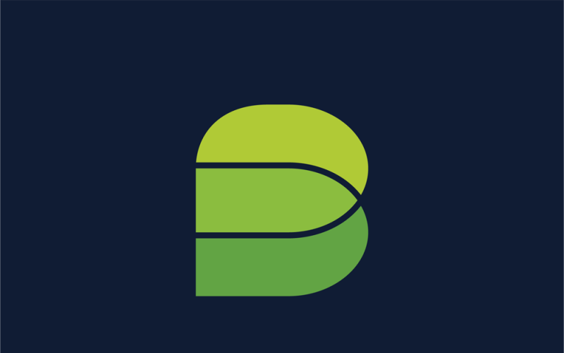 brilliant letter b vector logo design original