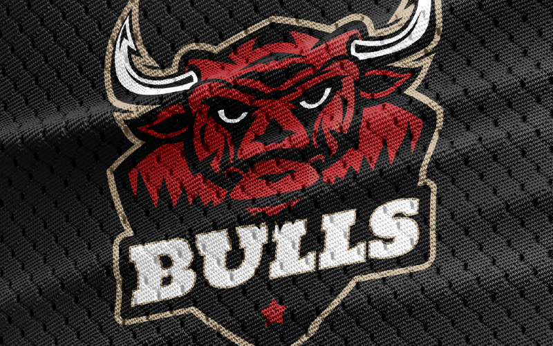 bulls versatile logo template original