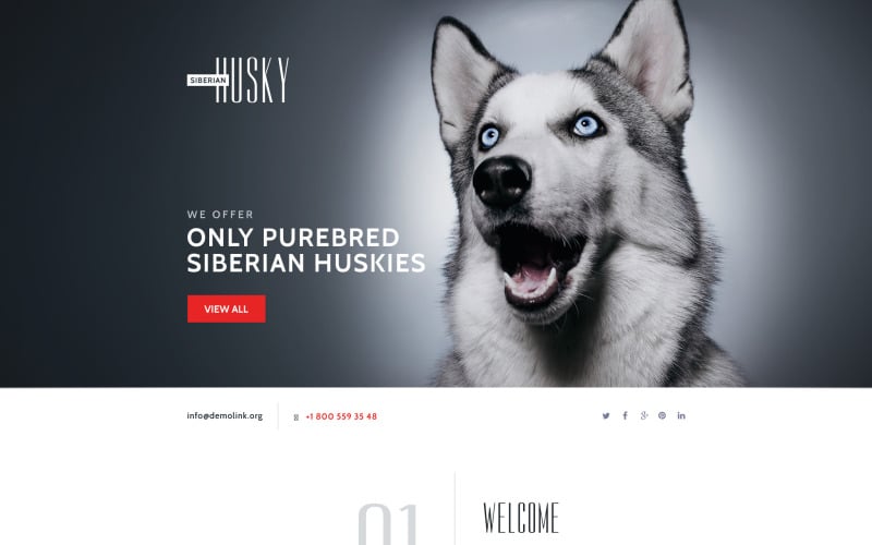 canine landing page template original