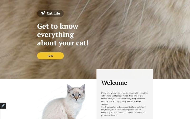 cat responsive landing page template original