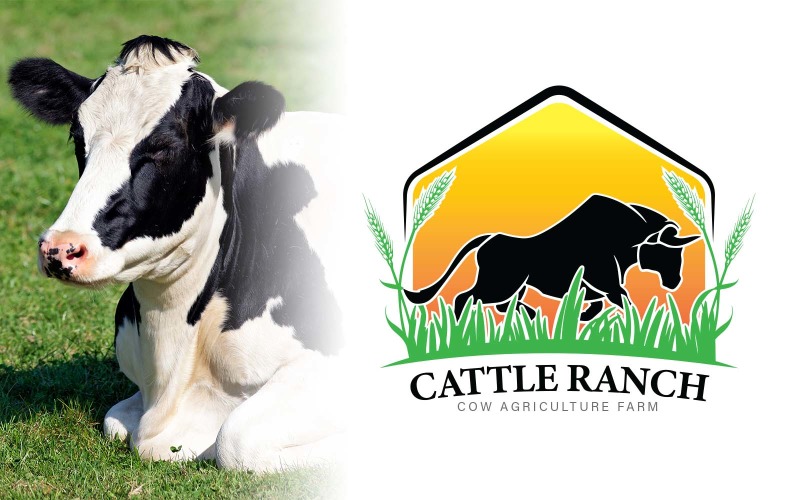 cattle ranch cow farm logo design brand identity original