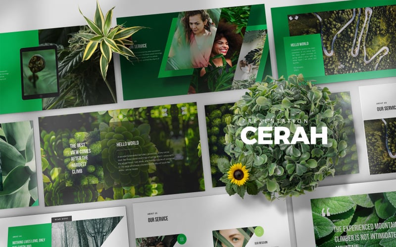 cerah powerpoint presentation original