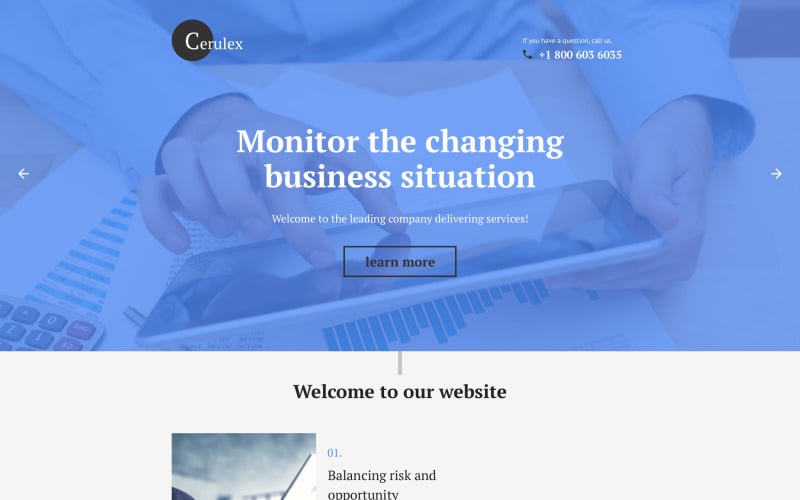 cerulex landing page template original