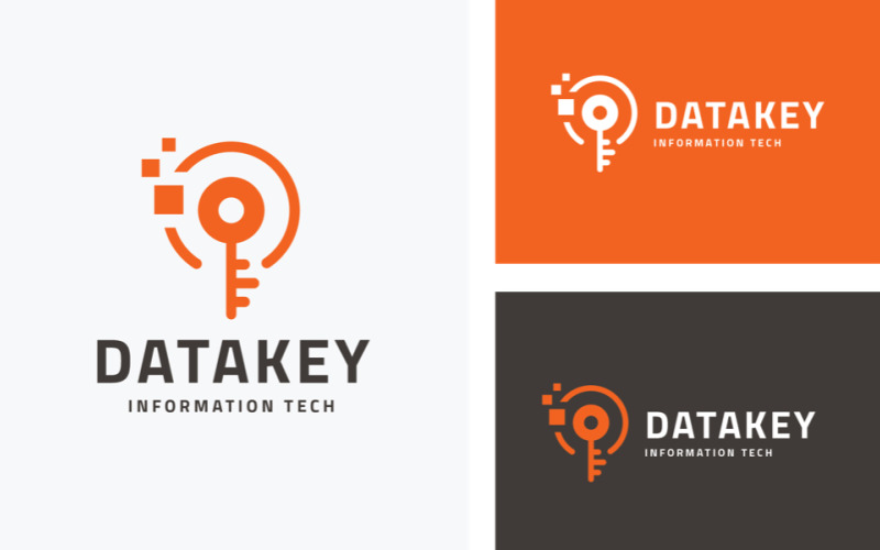 digital data key logo temp original