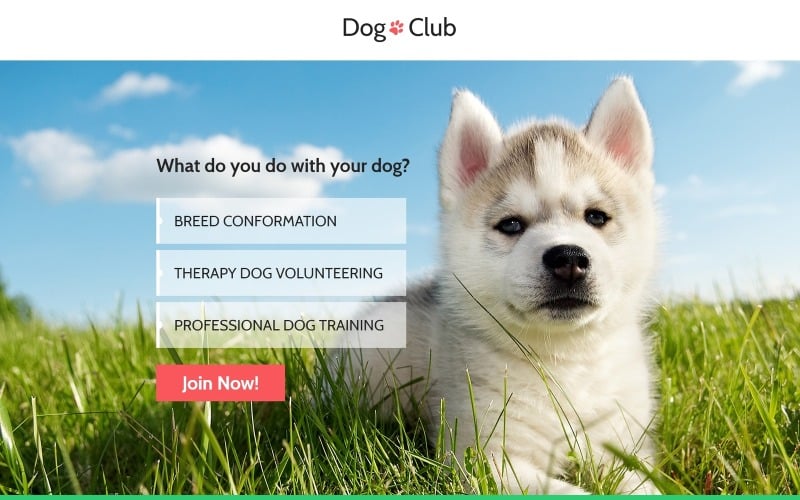 dog club dog breeder compatible with novi builder landing page template original
