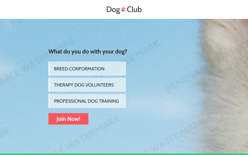 dog responsive landing page template original