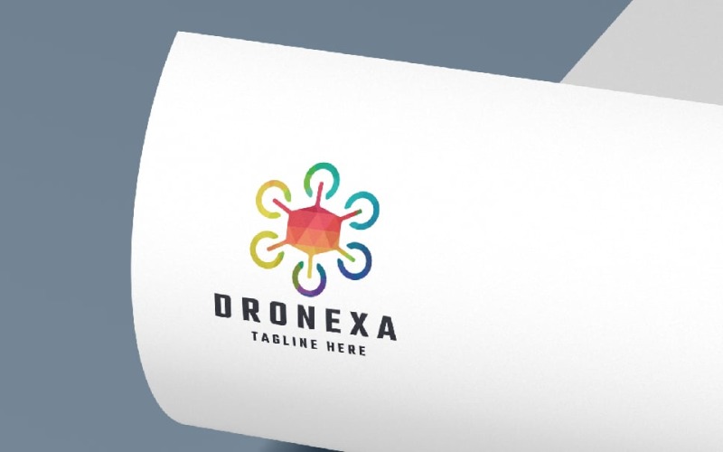 dronexa pro logo template original