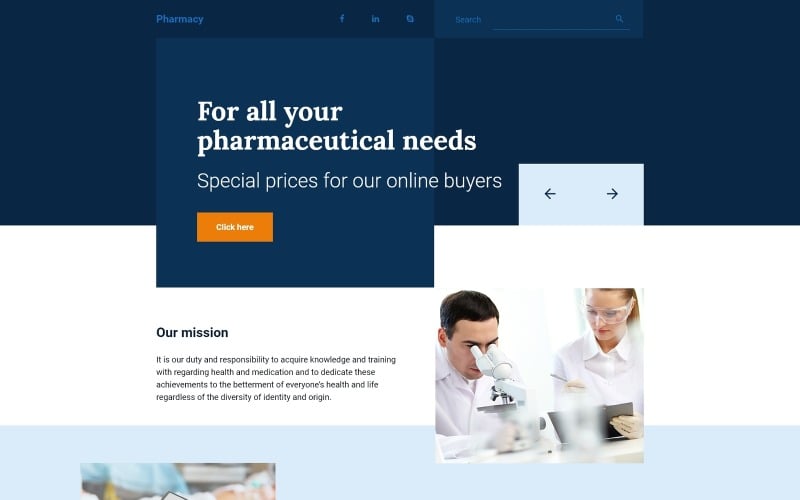 drug store responsive landing page template original