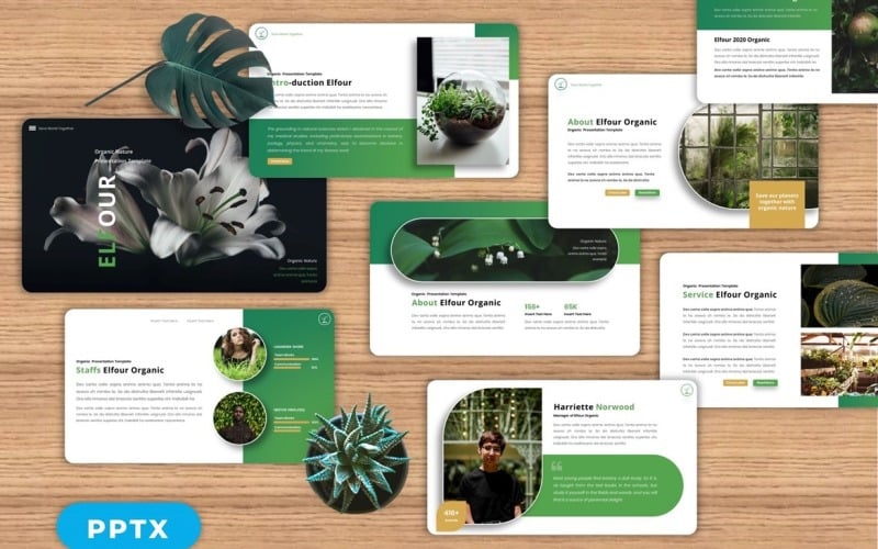elfour organic powerpoint original