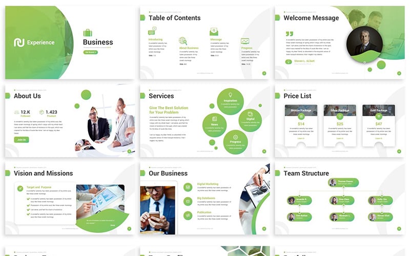 experience business powerpoint template original