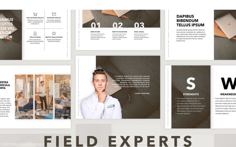 field expert powerpoint template original