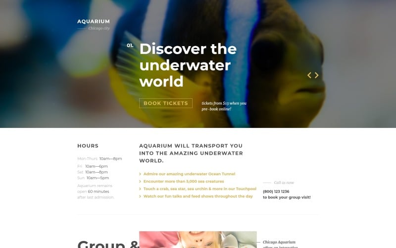 fish responsive landing page template original