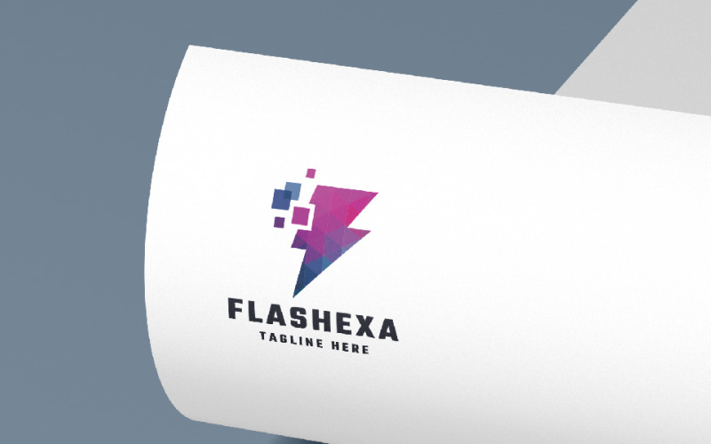 flashexa pro logo template original