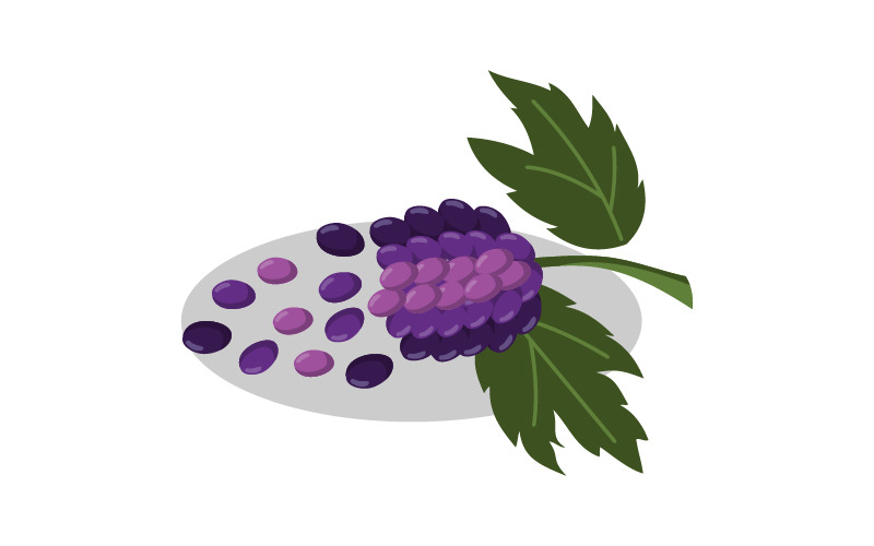 grape bunches fruit logo template original
