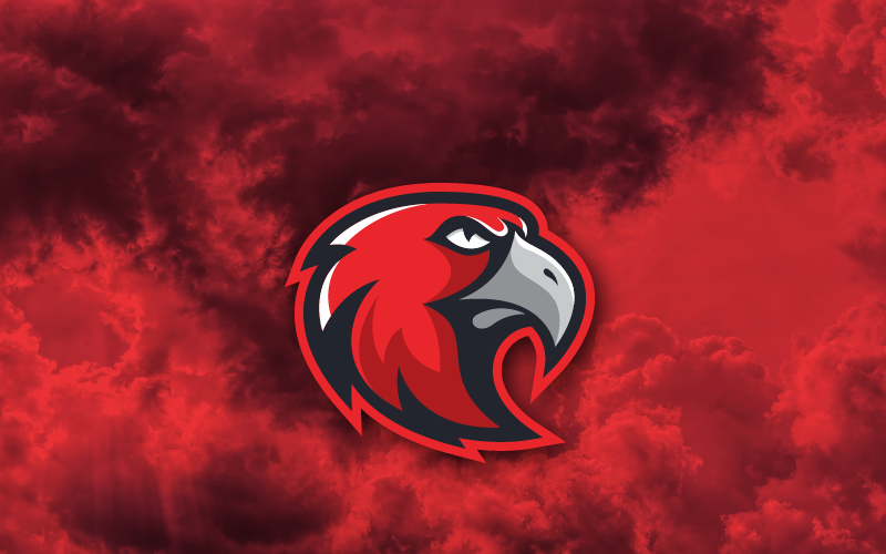hawks sports logo template original