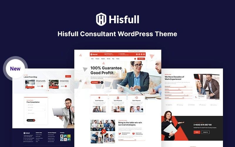 hisfull consultant responsive wordpress theme original