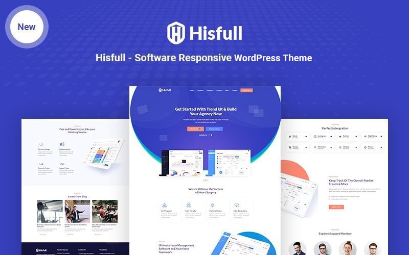 hisfull software responsive wordpress theme original