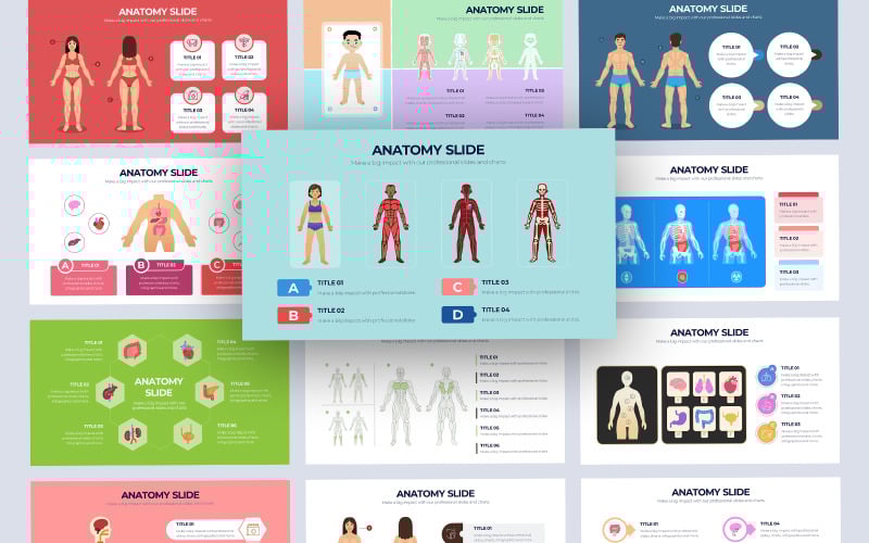 human anatomy vector infographic powerpoint template original