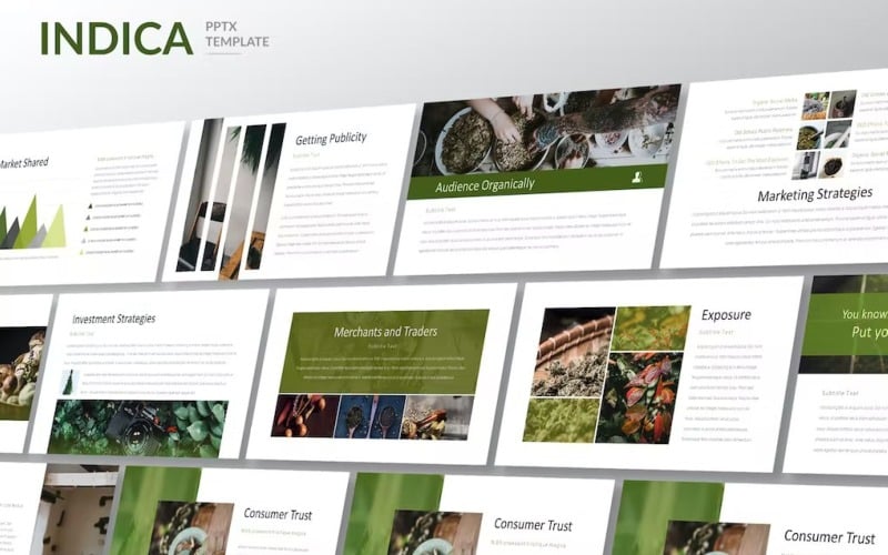 indica clean corporate style powerpoint template original