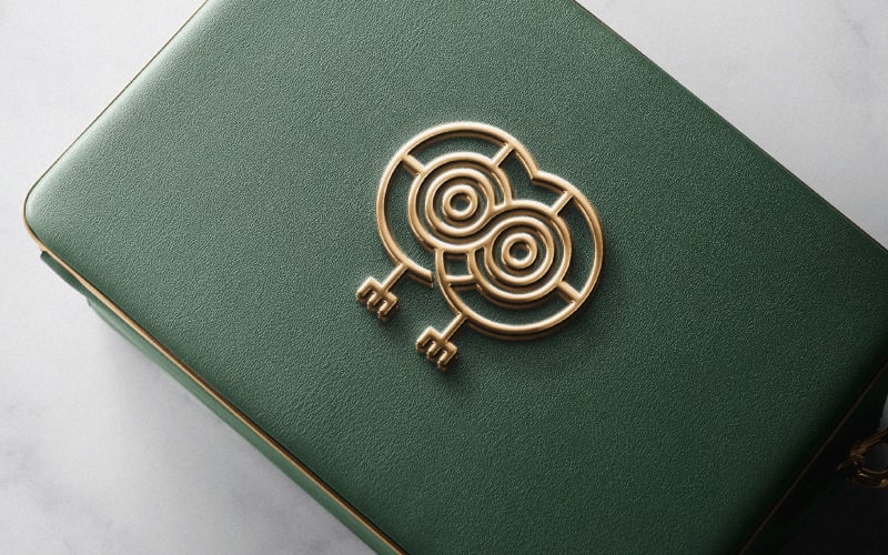 infinity owl professional logo original