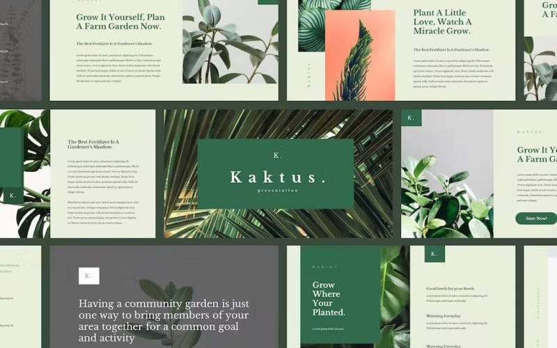 kaktus elegant powerpoint template original