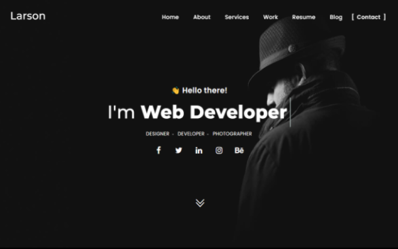 larson minimal portfolio html landing page template original