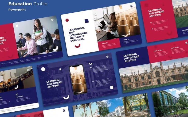 lasande education profile powerpoint original