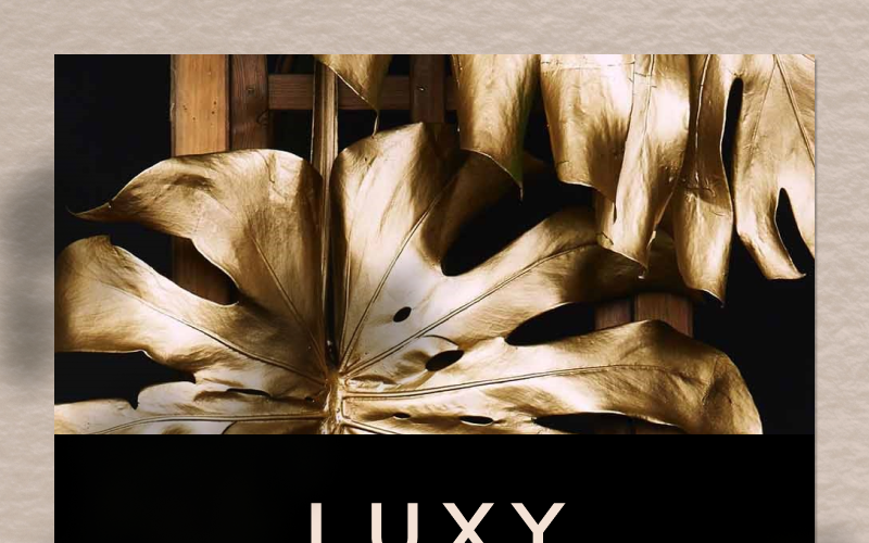 luxy powerpoint template original