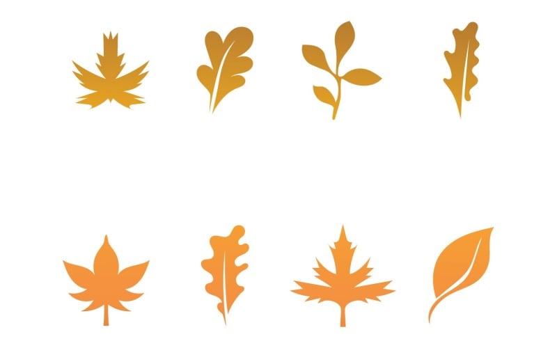 maple leaf vector illustration design template original