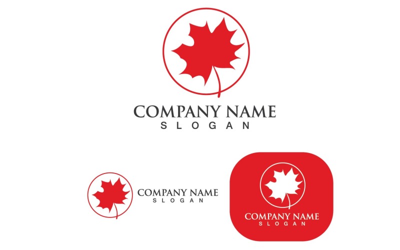 maple leaf vector illustration design template v original