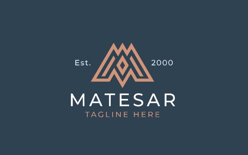 matesar letter m professional logo original