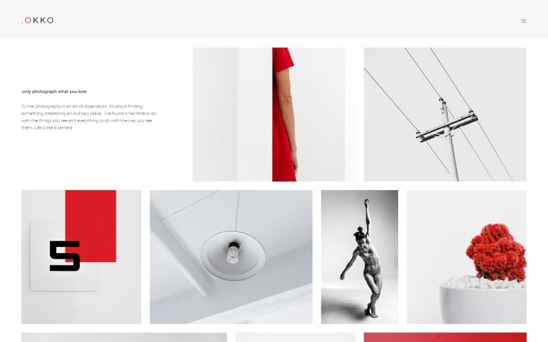 okoo photographer portfolio joomla template original