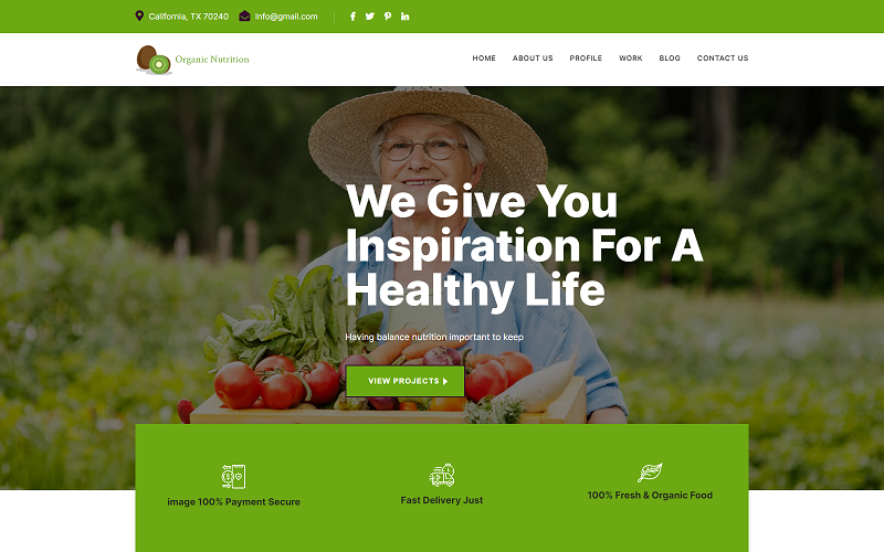 organic nutrition amp health services landing html template original