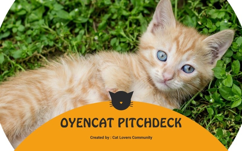 oyencat creative cat powerpoint template original