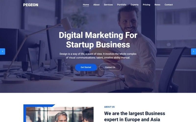 pegeon business and consulting landing page template original