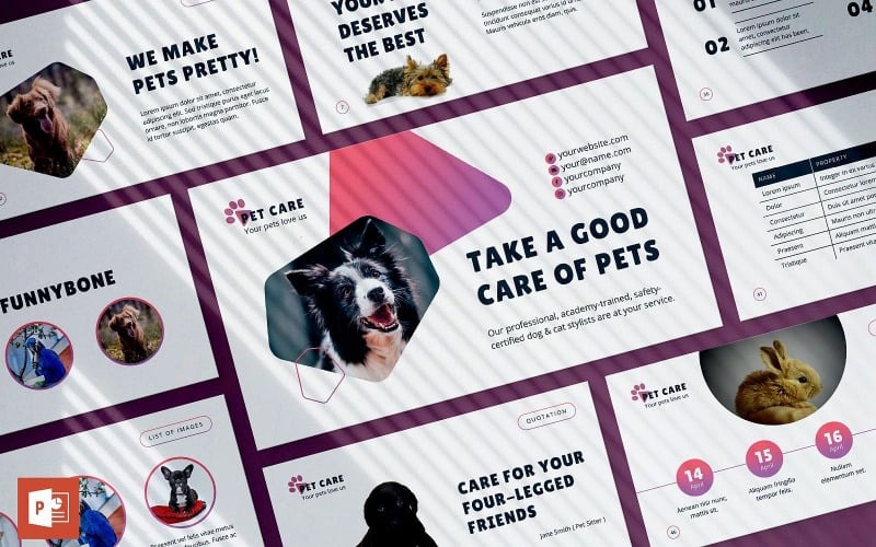 pet grooming care presentation powerpoint template original