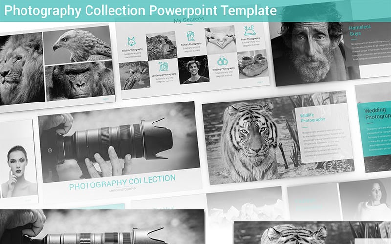photography collection powerpoint template original
