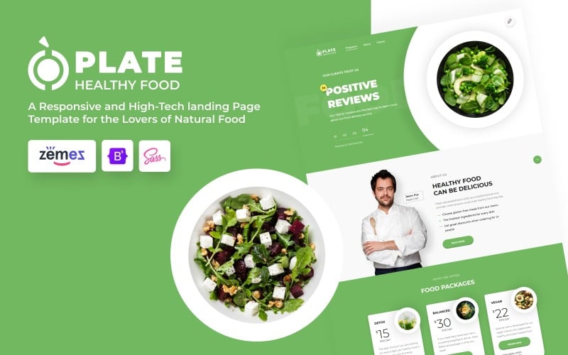 plate healthy food delivery landing page html template original