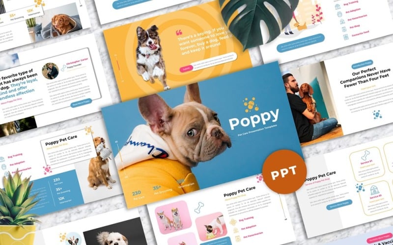 poppy pet care powerpoint original