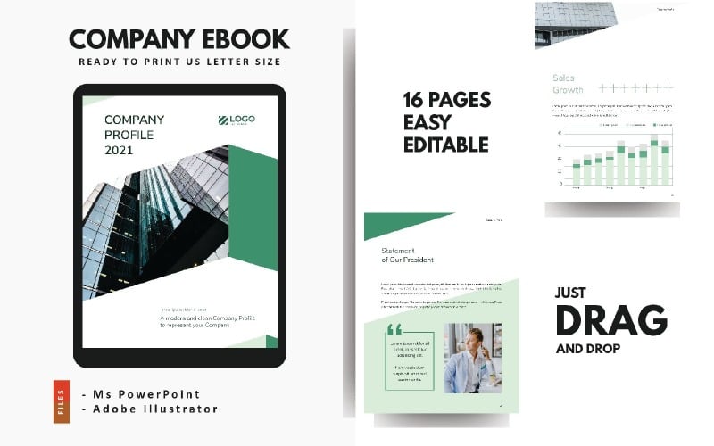 professional future company profile powerpoint presentation template original