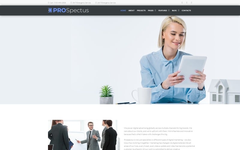 prospectus advertising portfolio wordpress theme original