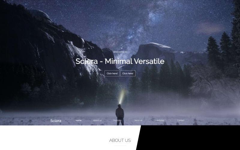 sclera landing page template original